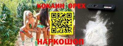 ГАЛЛЮЦИНОГЕННЫЕ ГРИБЫ Тара