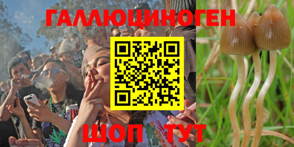 Псилоцибиновые грибы Magic Shrooms Нефтекамск