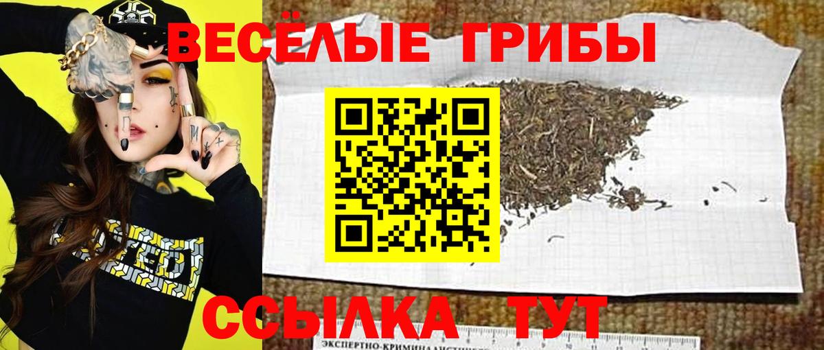 купить закладку  Псилоцибиновые грибы прущие грибы  Галлюциногенные грибы GOLDEN TEACHER  Вход с VPN  Нефтекамск 